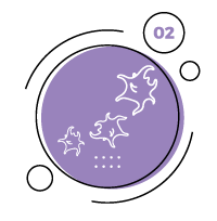 first-circle